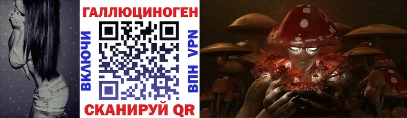 Галлюциногенные грибы GOLDEN TEACHER  Оса 
